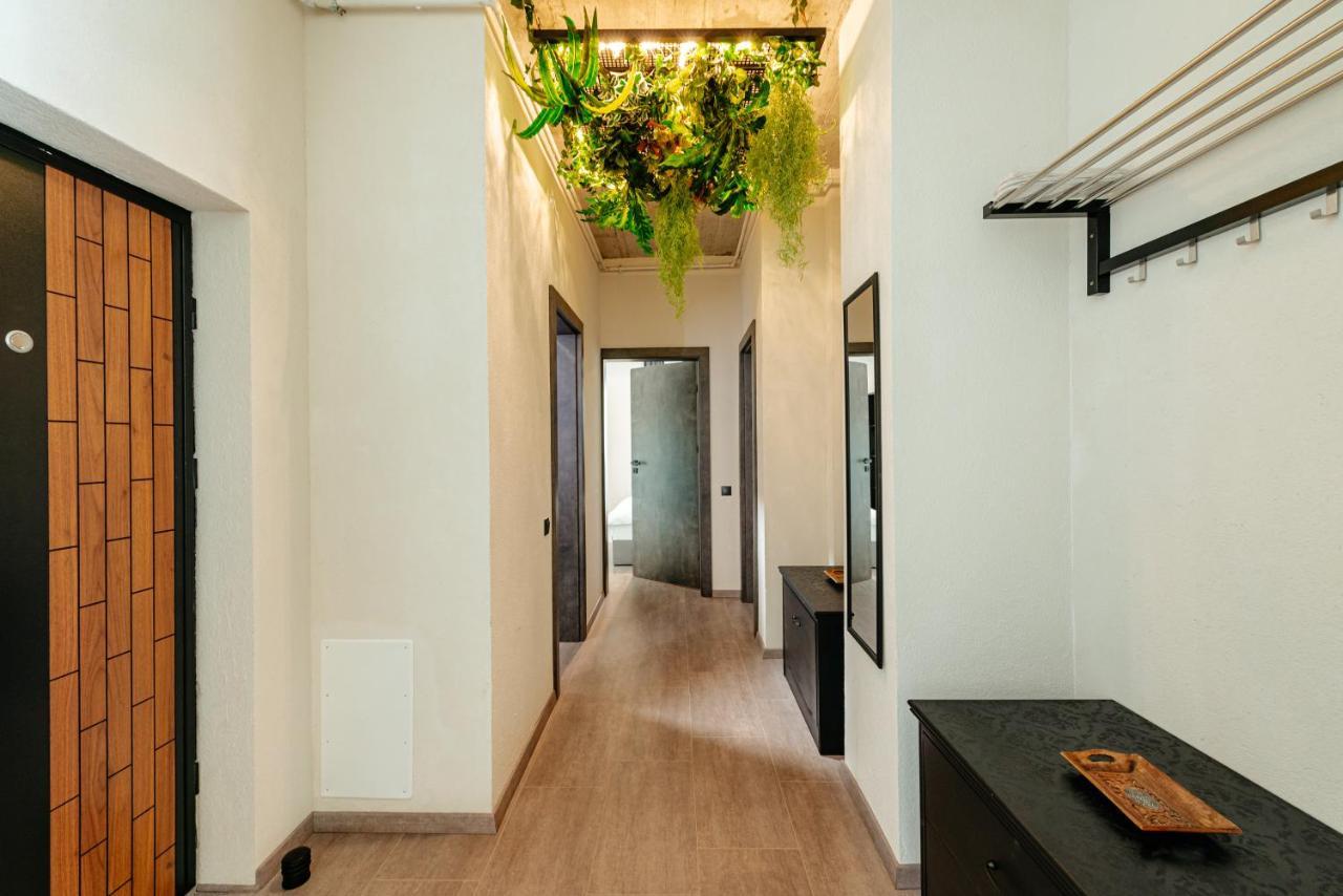 Centro Accommodation 克卢日-纳波卡 外观 照片