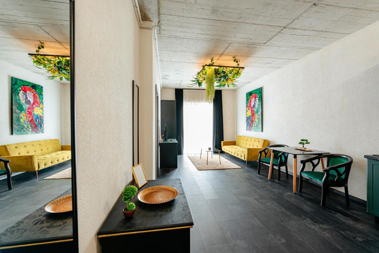 Centro Accommodation 克卢日-纳波卡 外观 照片